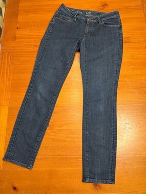 LOFT Women's Skinny Jeans in Dark Blue Wash